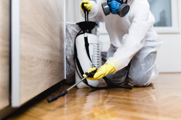 Best Flea Control Services  in Huxley, IA