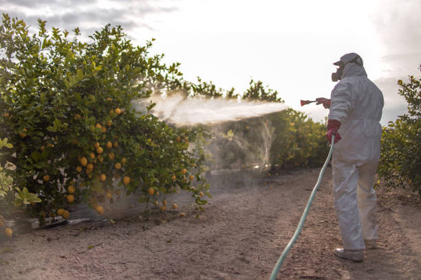 Wildlife Control Services in Huxley, IA