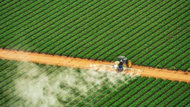 Professional Pest Control in Huxley, IA