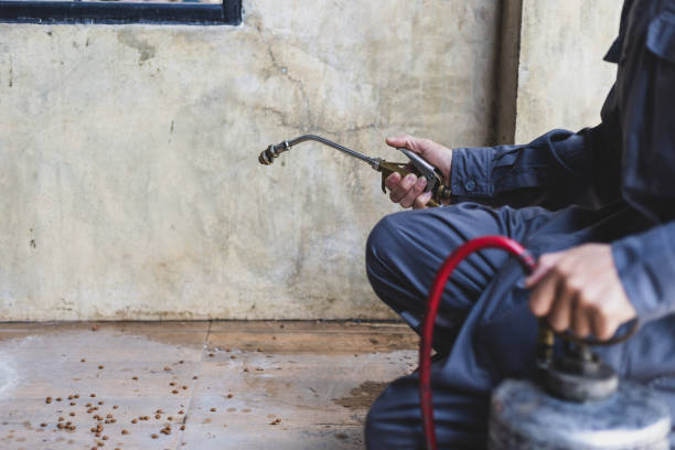 Best Pest Control Treatment  in Huxley, IA